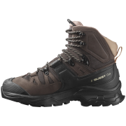 Дамски обувки за трекинг Salomon Quest 4 Gore-Tex