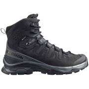 Мъжки обувки Salomon Quest 5 Gore Tex черен Asphalt / Black / Asphalt