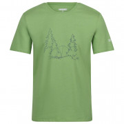 Мъжка тениска Regatta Breezed IV зелен