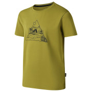 Детска тениска Dare 2b Amuse III Tee Goldn Cypress