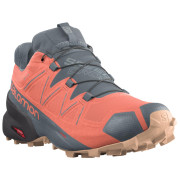 Дамски обувки Salomon Speedcross 5 GTX W