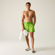 Мъжки бански Regatta Mawson Swim Shorts III