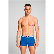 Мъжки боксерки Puma Everyday Multi Logo Boxers 2P