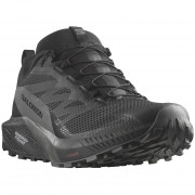 Мъжки обувки за бягане Salomon Sense Ride 5 Gore-Tex черен
