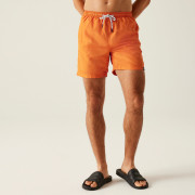 Мъжки къси панталони Regatta Mackleyna Swim Short