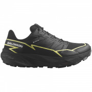 Дамски обувки за бягане Salomon Thundercross Gore-Tex черен