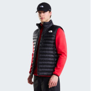 Мъжка жилетка The North Face M Terra Peak Vest