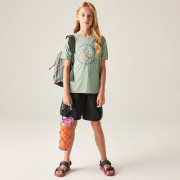 Детска тениска Dare 2b Kids Trackstand II Tee Glacier Green