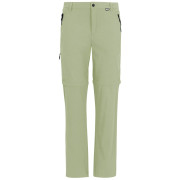 Мъжки панталони Regatta Anti-Insect Travel Light Z/O Trousers светло зелен Light Sage
