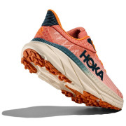 Дамски обувки Hoka W Challenger Atr 7