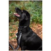 Повод с амортисьор Mountain Paws Stretch Dog Lead