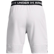 Мъжки къси панталони Under Armour Vanish Woven Shorts