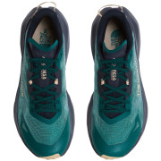 Мъжки обувки за бягане The North Face M Altamesa 300 V2