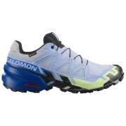 Мъжки обувки за бягане Salomon Speedcross 6 GTX Icon