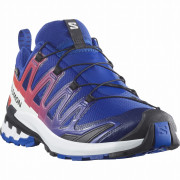 Мъжки обувки Salomon Xa Pro 3D V9 Gore-Tex Equipe син/червен Surf The Web / Fiery Red / White