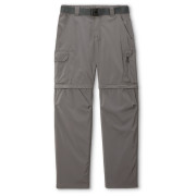 Мъжки панталони Columbia Silver Ridge™ Utility Convertible Pant