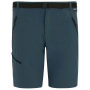 Мъжки къси панталони Regatta Xert Stretch Shorts тъмно син Night Sky