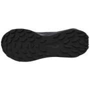 Дамски обувки Salomon Alphaglide Gore-Tex