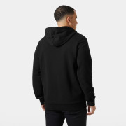 Мъжки суитшърт Helly Hansen HH Box Hoodie 2025