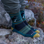 Мъжки чорапи Darn Tough Willoughby Micro Crew Lightweight With Cushion