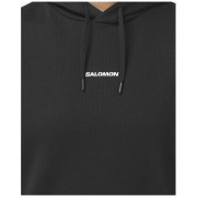 Дамски суитшърт Salomon Logo Hoodie W