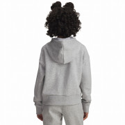 Детски суитшърт Under Armour Rival Fleece Crop Hoodie