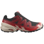 Мъжки обувки за бягане Salomon Speedcross 6 Gore-Tex