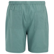 Мъжки къси панталони Regatta Hadlin Shorts