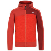 Детски суитшърт Dare 2b Thriving II Core St