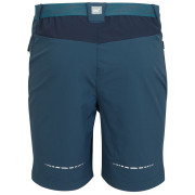 Мъжки къси панталони Regatta Mountain ShortsII M