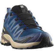 Мъжки туристически обувки Salomon Xa Pro 3D V9 Gore-Tex