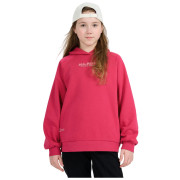 Детски суитшърт 4F Sweatshirt F1934