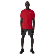 Мъжки къси панталони Salewa Pedroc 2 Dst M Shorts