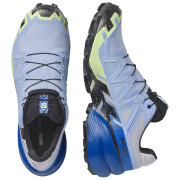 Мъжки обувки за бягане Salomon Speedcross 6 GTX Icon