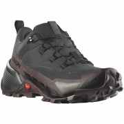 Дамски обувки за трекинг Salomon Cross Hike 2 Gore-Tex черен