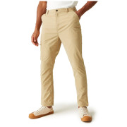 Мъжки панталони Regatta Dalry Trouser