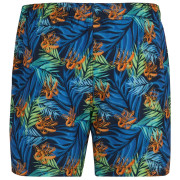 Мъжки бански Regatta Loras Swim Short