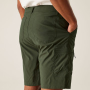 Мъжки къси панталони Regatta Dalry Short