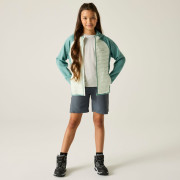 Детско яке Regatta Junior Andreson Hybrid IvyMossOMist