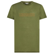 Функционална мъжка тениска Icebreaker M 150 Tech Lite SS Tee IBCoordinates зелен Sphagnum