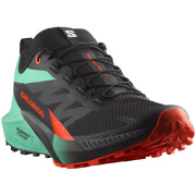 Мъжки обувки за бягане Salomon Sense Ride 5