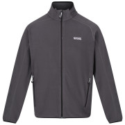 Мъжки суитшърт Regatta Hadfield сив Seal Grey