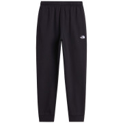 Мъжки анцуг The North Face M Evolution Simple Dome Regular Jogger черен TNF BLACK