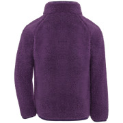 Детски суитшърт Didriksons Gibbs Kids Fullzip 2 Northen Purple