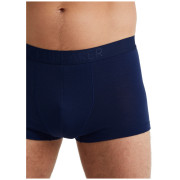 Мъжки боксерки Icebreaker M Anatomica Cool-Lite Trunks