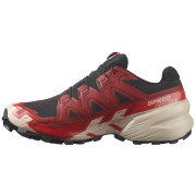 Мъжки обувки за бягане Salomon Speedcross 6 Gore-Tex