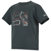 Детска тениска Regatta Alvarado Seal Grey