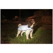 Дъждобран за куче Mountain Paws Reflective Fleece-Lined Dog Raincoat