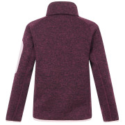 Детски суитшърт Regatta Junior Newhill Fig Powder Lilac