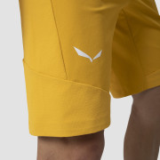 Мъжки къси панталони Salewa Agner Dst M Shorts.